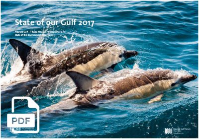 State of the Gulf 2017: Full report