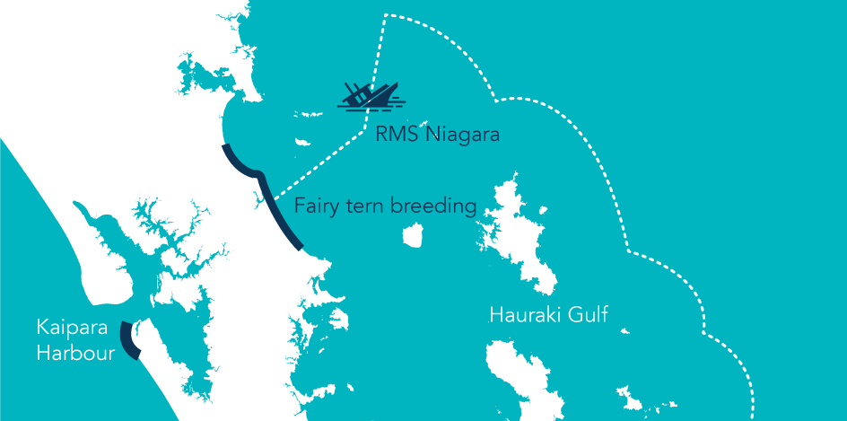 Location of the RMS Niagara wreck in relation to NZ fairy tern breeding grounds
