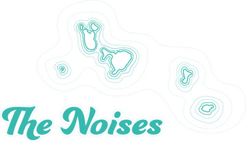 The Noises