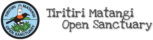 Tiritiri Matangi Open Sanctuary