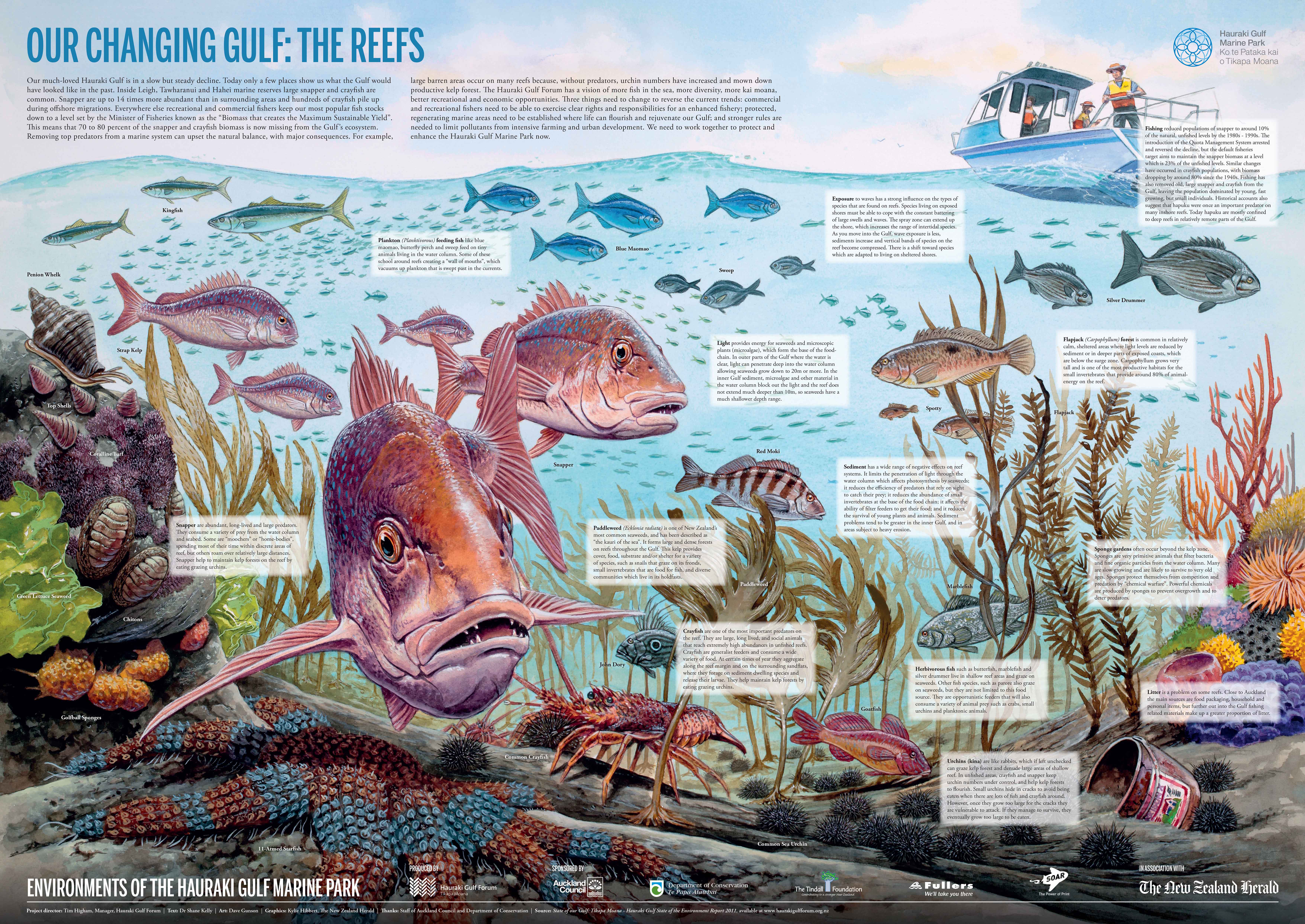 The Reefs