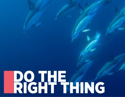 Do The Right Thing: The 2016 Hauraki Gulf Marine Park Seminar