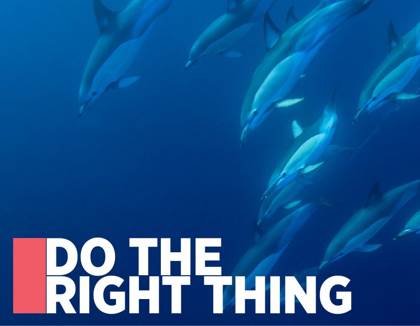 Do The Right Thing: The 2016 Hauraki Gulf Marine Park Seminar