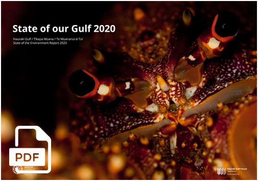 STATE OF THE GULF 2020: FULL REPORT