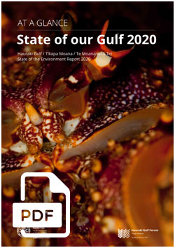 State of the Gulf 2020: At a glance
