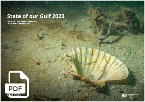 STATE OF THE GULF 2023: FULL REPORT