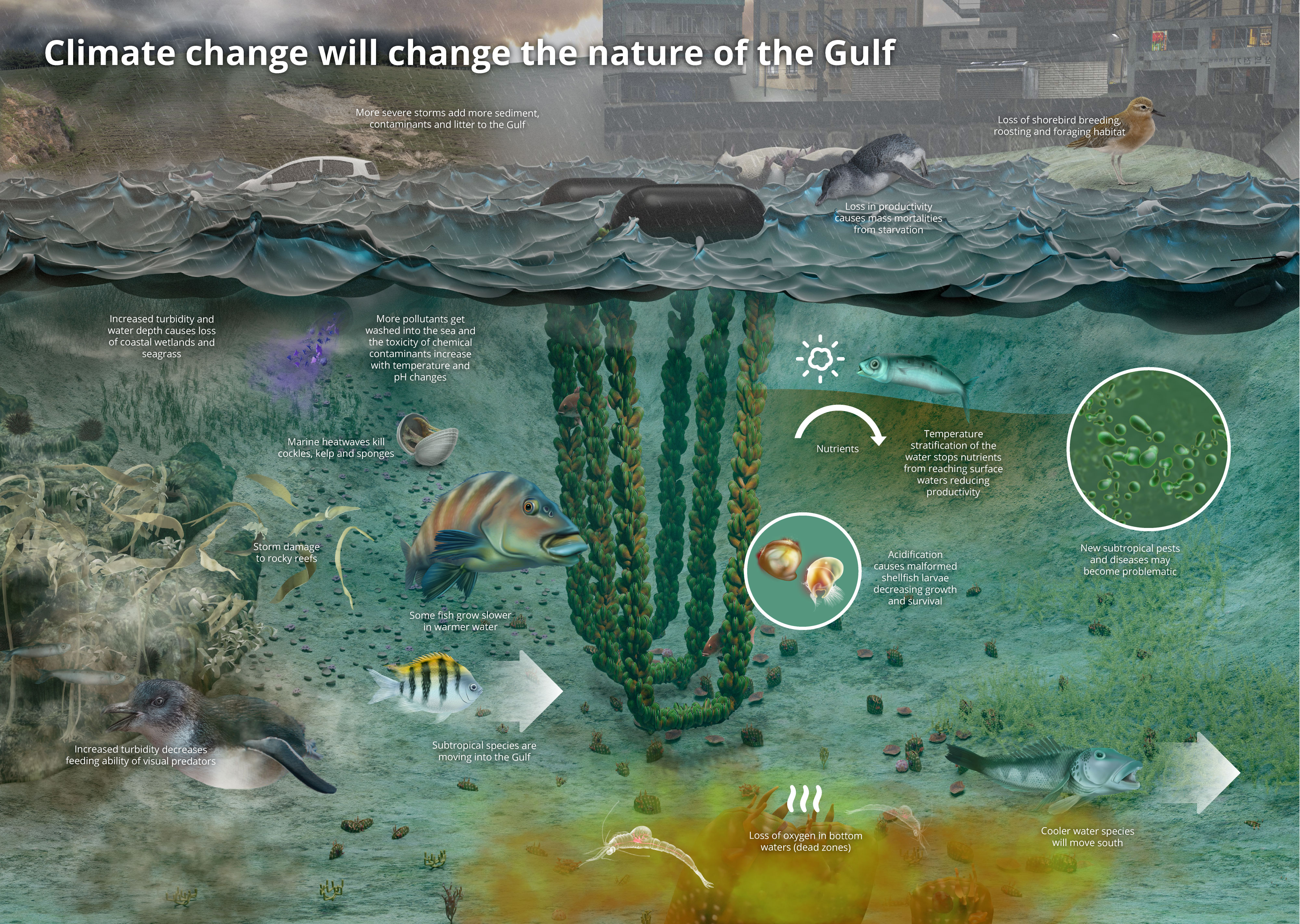 Climate change will change the nature of the Gulf