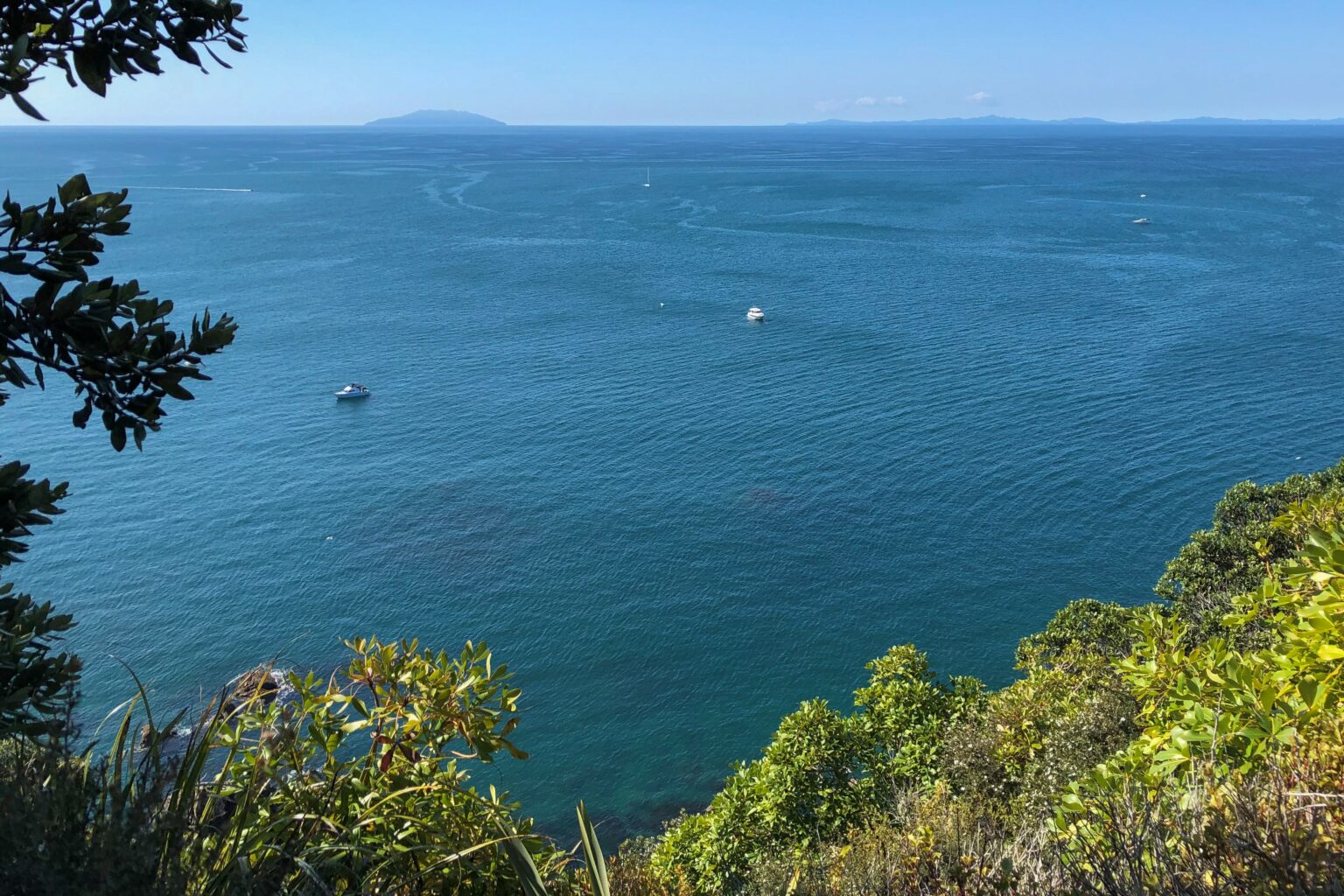 2024 a make-or-break year for the Hauraki Gulf Marine Park | Hauraki ...