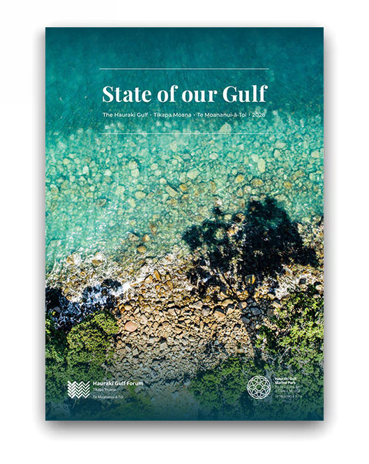 State of our Gulf 2026 cover