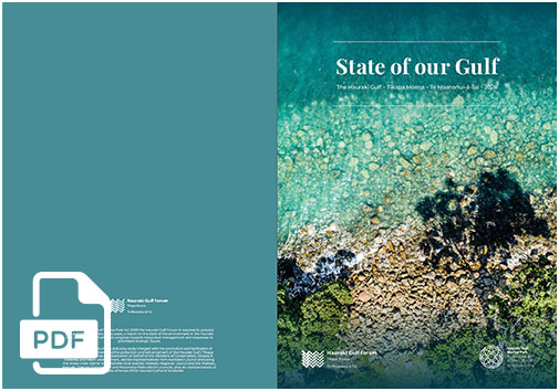 STATE OF THE GULF 2026: FULL REPORT